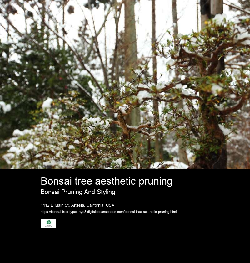 Bonsai tree aesthetic pruning
