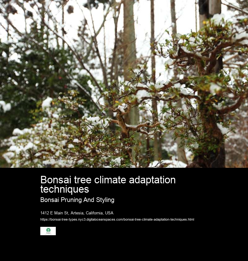 Bonsai tree climate adaptation techniques