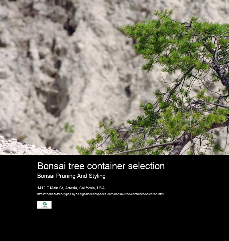 Bonsai tree container selection