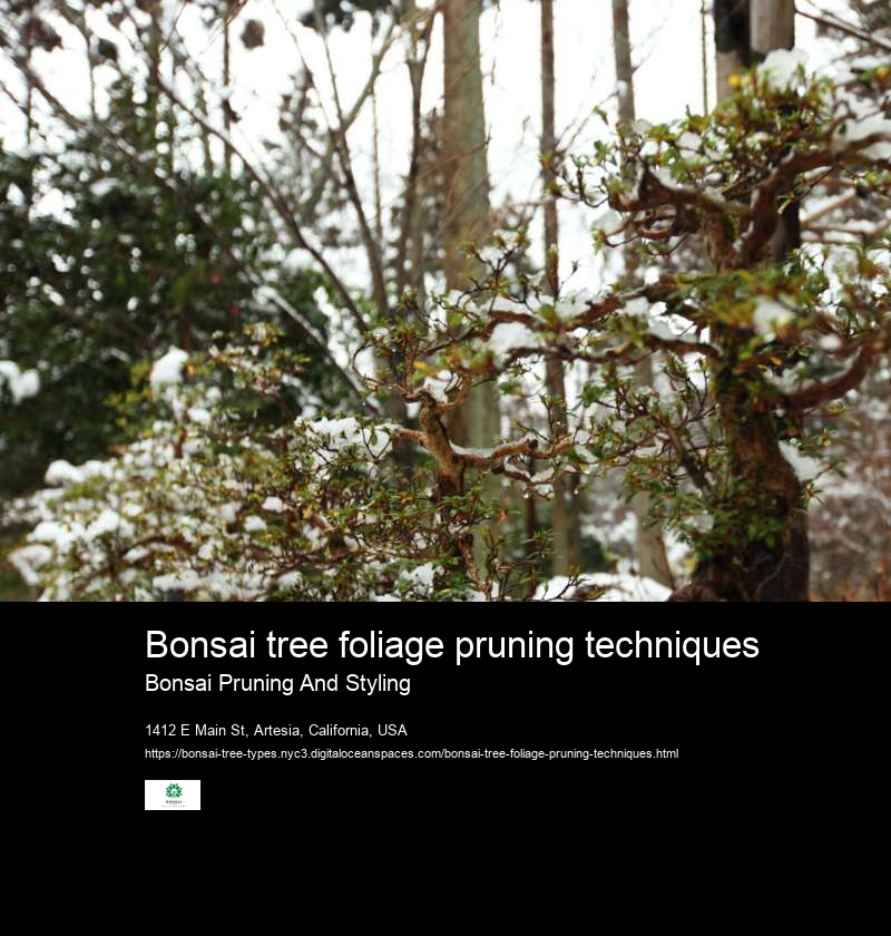 Bonsai tree foliage pruning techniques