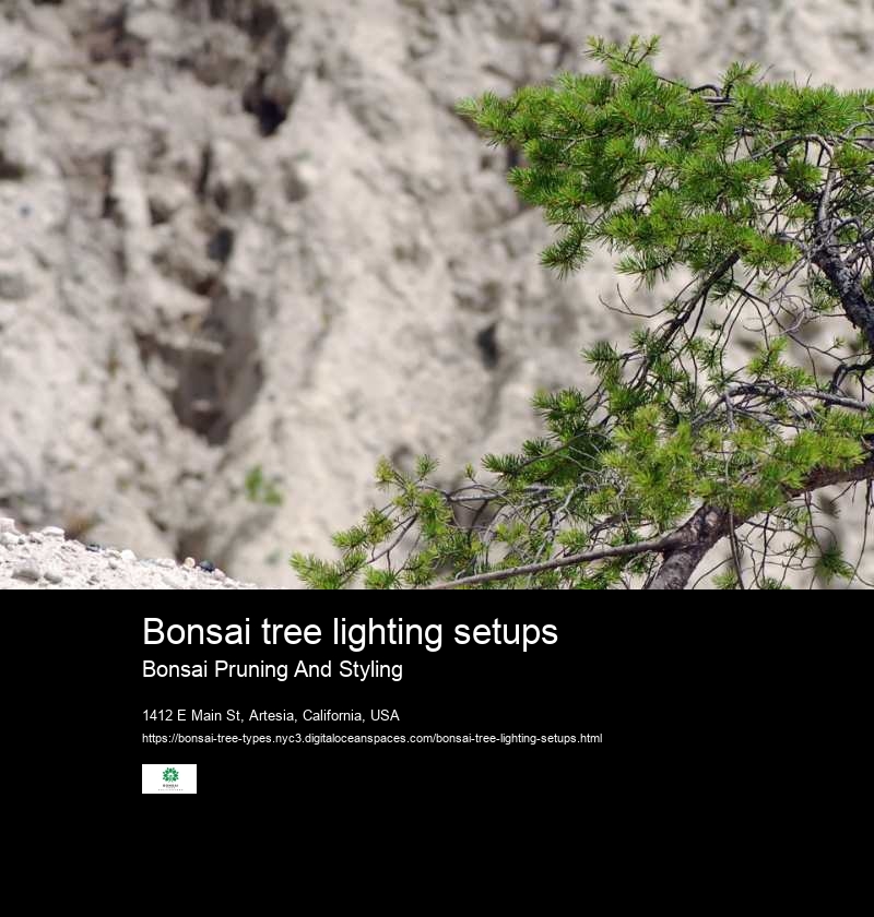 Bonsai tree lighting setups
