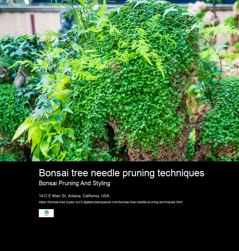 Bonsai tree needle pruning techniques