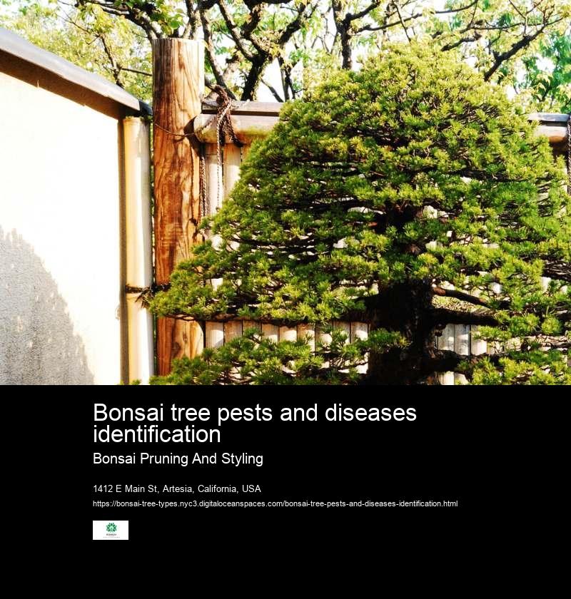 Bonsai tree pests and diseases identification