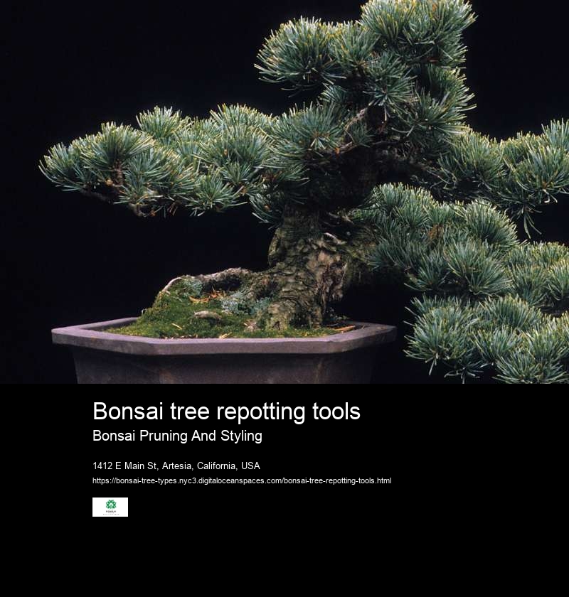 Bonsai tree repotting tools