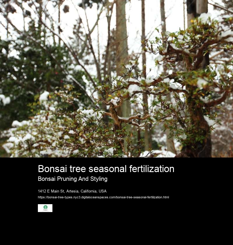 Bonsai tree seasonal fertilization