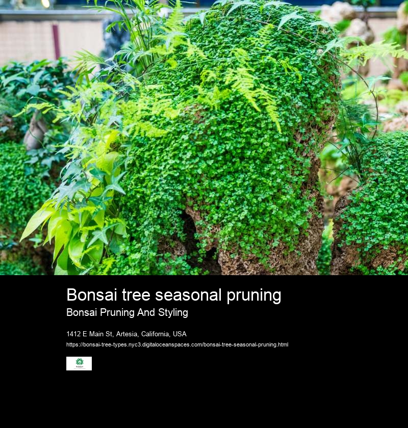 Bonsai tree seasonal pruning