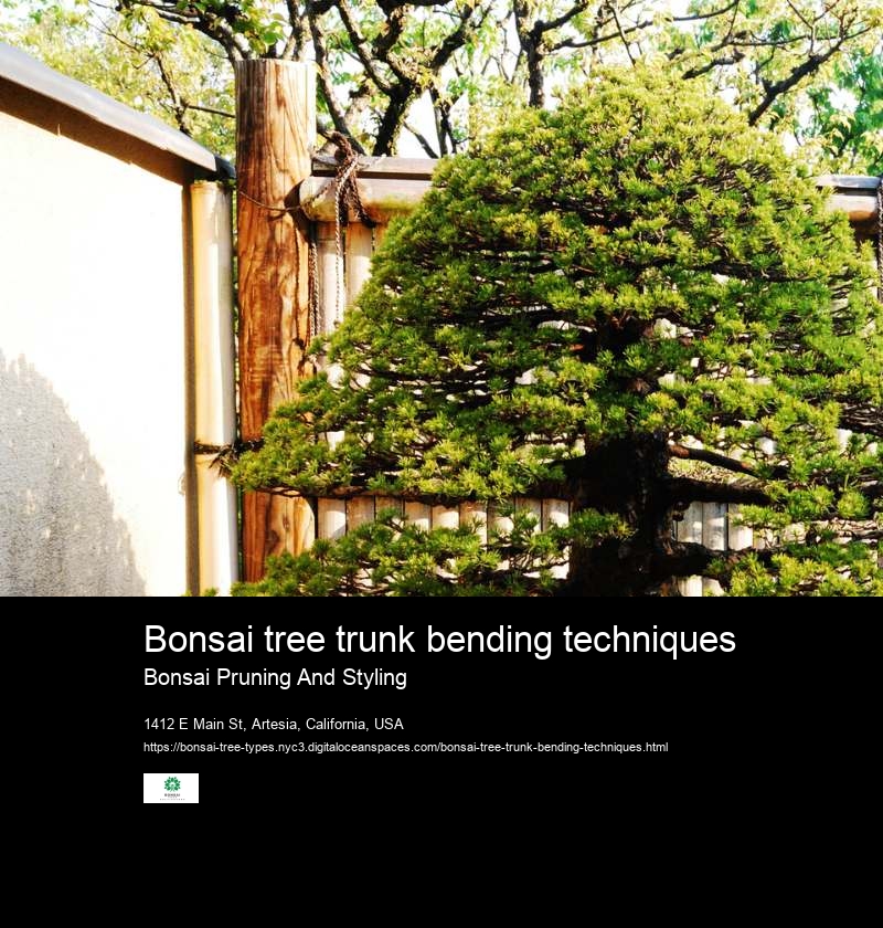 Bonsai tree trunk bending techniques