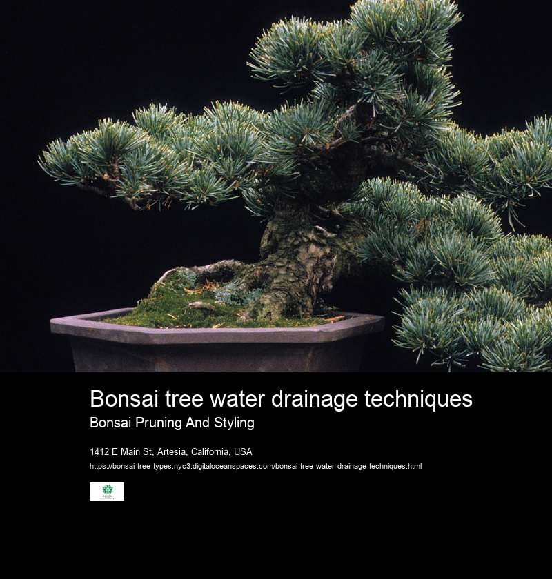 Bonsai tree water drainage techniques
